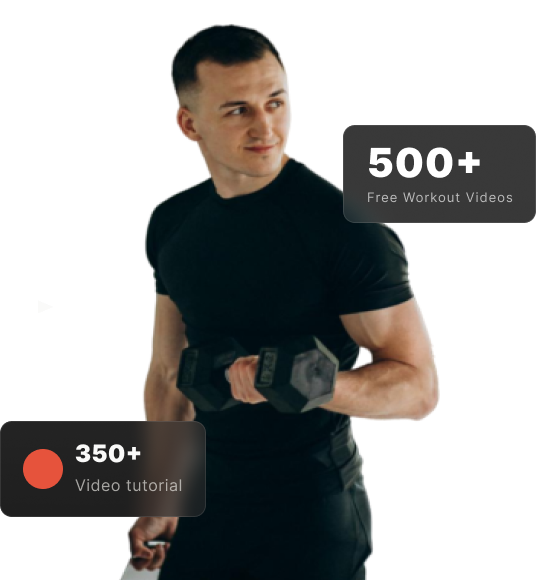 banner image